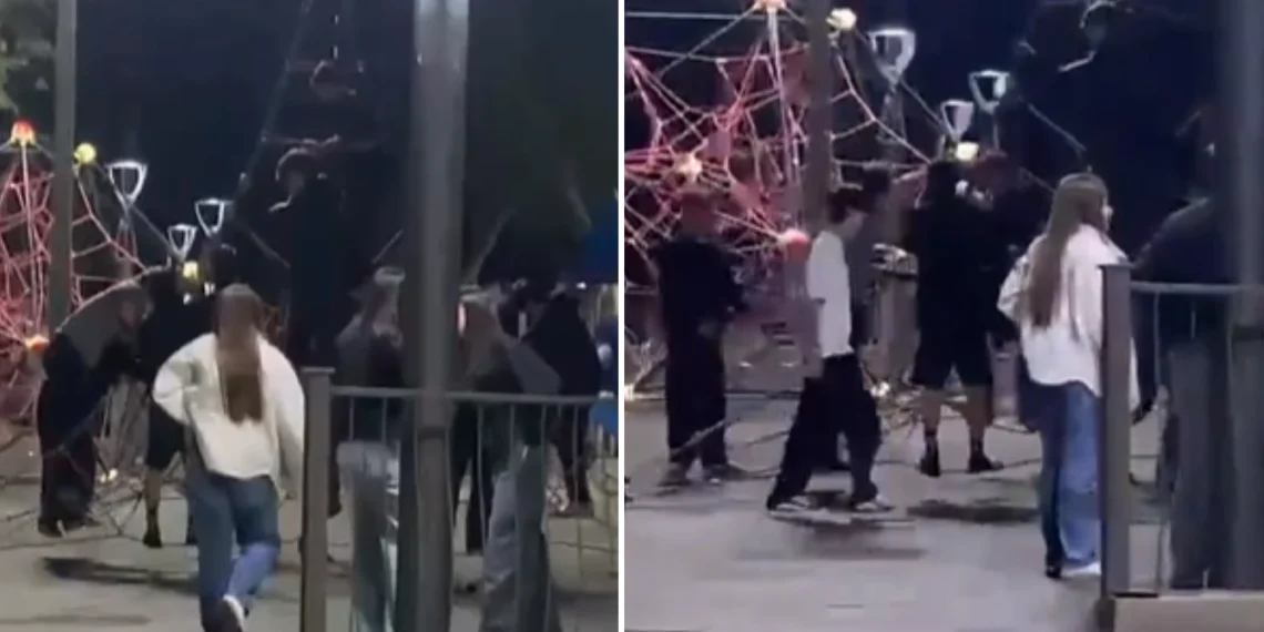 Indignación vecinal en Santa Lucía: registraron a un grupo de adolescentes usando mal los juegos infantiles de la plaza