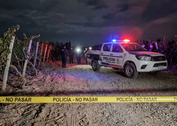 Mató a balazos al perro de su vecino en San Martín: quedó detenido y justificó el ataque diciendo que quiso morderlo