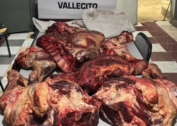 Operativo en Vallecito: secuestraron 80 kilos de carne vacuna trasladados sin cadena de frío en el asiento de un auto