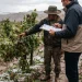 Inclemencias climáticas y riesgo en cultivos: cómo denunciar daños por lluvias y acceder a créditos para fitosanitarios