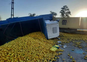 Impactante choque en Tucumán: un tren de cargas embistió a un camión con limones y descarriló