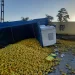 Impactante choque en Tucumán: un tren de cargas embistió a un camión con limones y descarriló