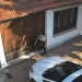 El indignante momento donde un adolescente le pisó la cabeza a un gato en plena vereda: el animal lucha por su vida