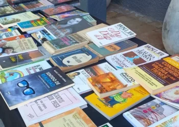 Gran suelta de libros en la Peatonal: regalarán miles de ejemplares en pleno centro para celebrar a maestros y bibliotecarios