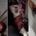Terror en el aire: un copiloto apuñaló al piloto en pleno vuelo a Israel e investigan un presunto intento de atentado