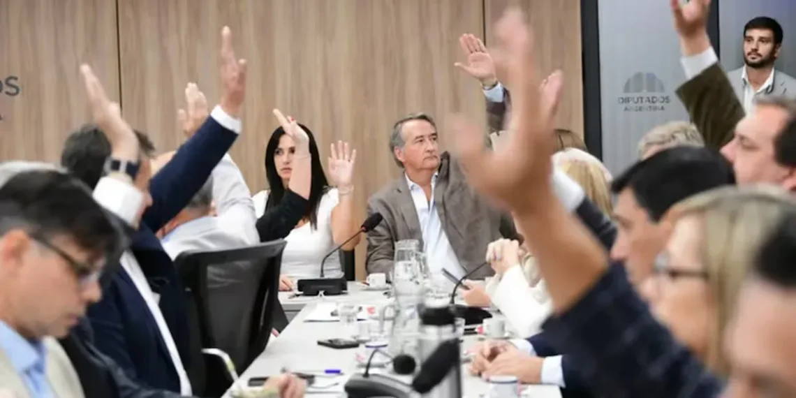 Presión en el Congreso: la oposición reuniría el quórum para debatir este miércoles discapacidad y morosidad