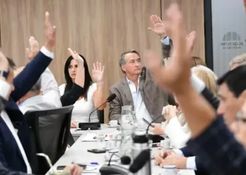Presión en el Congreso: la oposición reuniría el quórum para debatir este miércoles discapacidad y morosidad