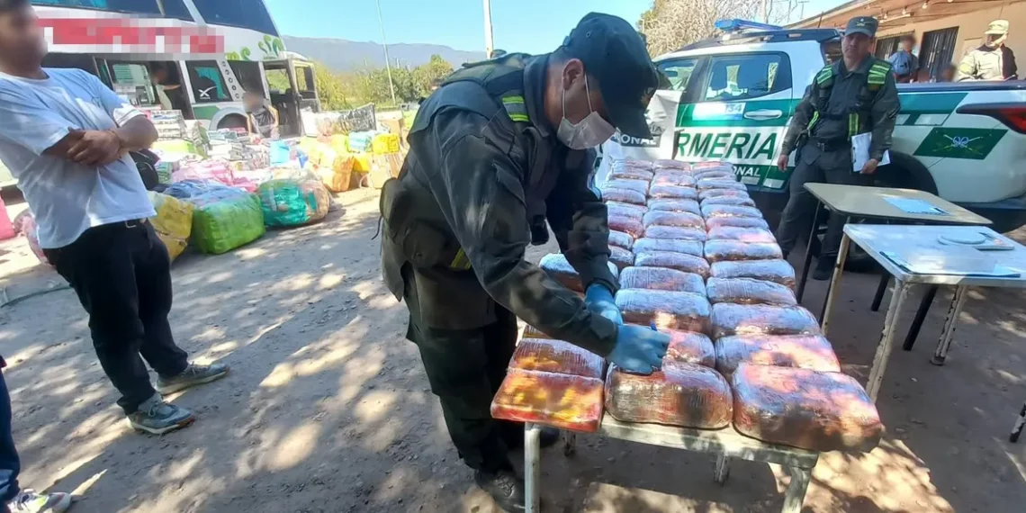 Cocaína en peluches de capibaras: Gendarmería interceptó un colectivo que tenía como destino San Juan