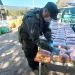 Cocaína en peluches de capibaras: Gendarmería interceptó un colectivo que tenía como destino San Juan