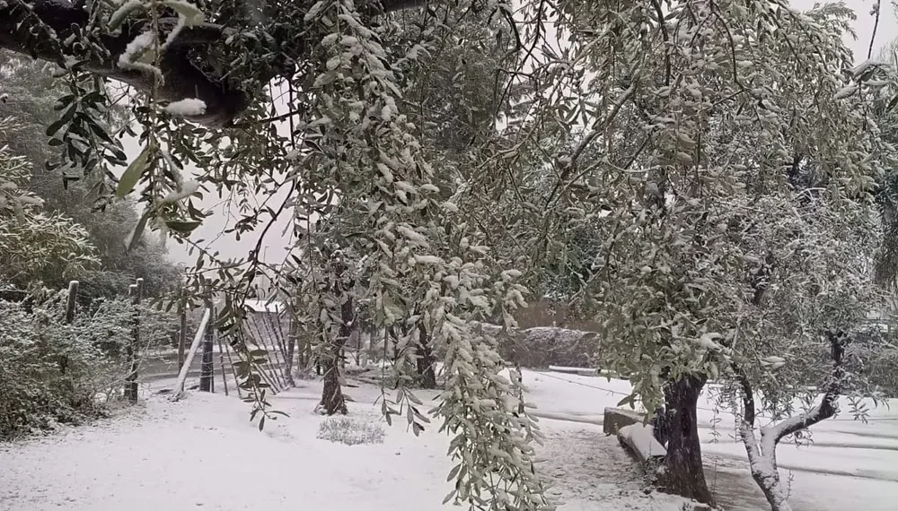 Postal de invierno en septiembre: una copiosa nevada cubrió de blanco la localidad de Pedernal
