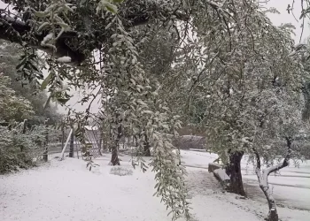 Postal de invierno en septiembre: una copiosa nevada cubrió de blanco la localidad de Pedernal