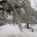 Postal de invierno en septiembre: una copiosa nevada cubrió de blanco la localidad de Pedernal