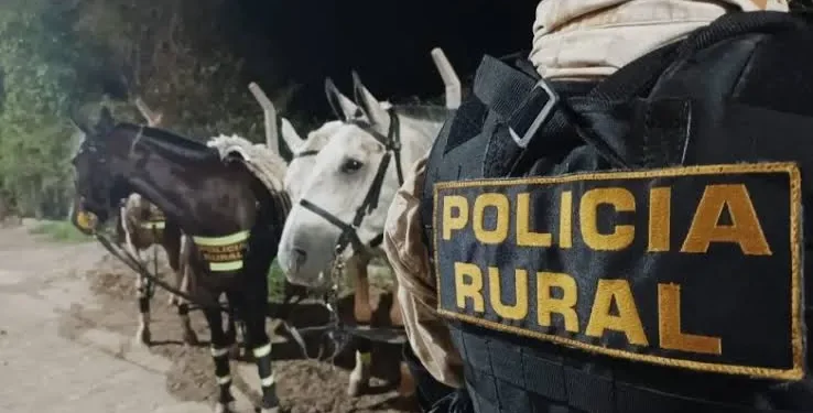 Peligro en la Ruta 141: la Policía Rural secuestró caballos y una mula sueltos en Caucete