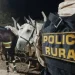 Peligro en la Ruta 141: la Policía Rural secuestró caballos y una mula sueltos en Caucete