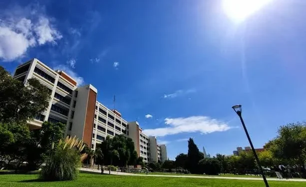 Sábado a pleno sol en San Juan: pronostican una jornada primaveral con máxima de 31°C y cielo completamente despejado