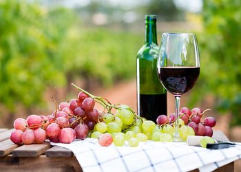Preocupación en el sector vitivinícola: los despachos de vino sanjuanino se desplomaron un 45,3% en julio