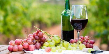 Preocupación en el sector vitivinícola: los despachos de vino sanjuanino se desplomaron un 45,3% en julio