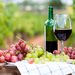Preocupación en el sector vitivinícola: los despachos de vino sanjuanino se desplomaron un 45,3% en julio