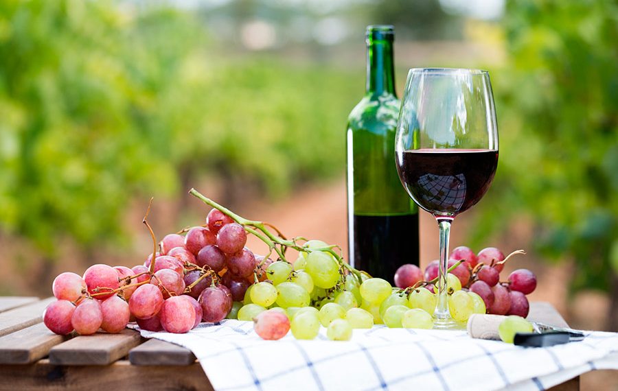 Preocupación en el sector vitivinícola: los despachos de vino sanjuanino se desplomaron un 45,3% en julio