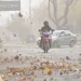 Alerta meteorológica en San Juan: rige advertencia amarilla por viento Zonda con ráfagas superiores a los 70 km/h