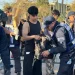 Operativo Primavera en el Parque de Mayo: 290 policías custodian el predio con retenes y control de alcoholemia