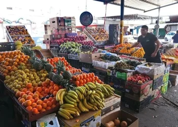 Nuevo horario en la Feria y Mercado de Abasto: regirá desde el lunes 5 de octubre para evitar el calor