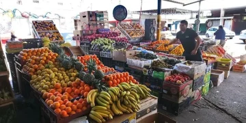 Nuevo horario en la Feria y Mercado de Abasto: regirá desde el lunes 5 de octubre para evitar el calor