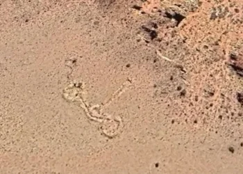 Misterio a 3.000 metros: descubren con Google Earth una inédita formación de piedra entre San Juan y Mendoza e investigan si es un santuario inca