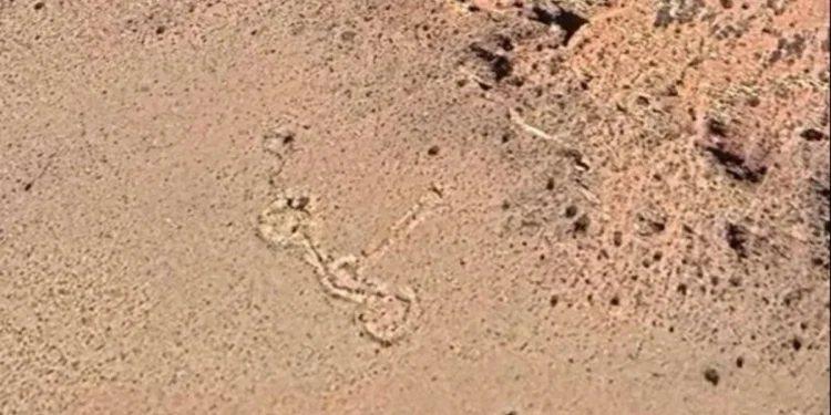 Misterio a 3.000 metros: descubren con Google Earth una inédita formación de piedra entre San Juan y Mendoza e investigan si es un santuario inca