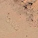 Misterio a 3.000 metros: descubren con Google Earth una inédita formación de piedra entre San Juan y Mendoza e investigan si es un santuario inca