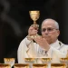 El vino elegido para el Papa es mendocino: conocé el por qué