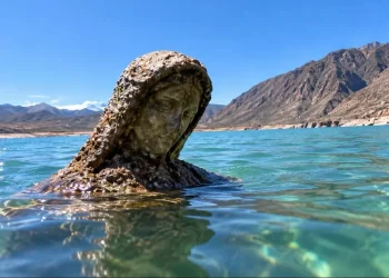 Aparición inesperada en Cuyo: la bajante del dique Potrerillos dejó al descubierto a la «Virgen del Agua»