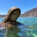 Aparición inesperada en Cuyo: la bajante del dique Potrerillos dejó al descubierto a la «Virgen del Agua»