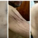 Investigan a penitenciarios por una presunta golpiza al sicario del empresario González y hay polémica por el fallo de un juez