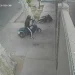 Violento ataque de motochorros en el Barrio Del Bono: empujaron por la espalda a una enfermera y le robaron la moto cuando llegaba a trabajar