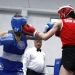 Rumbo a Mar del Plata: San Juan confirmó a sus atletas en bádminton, básquet 3×3, BMX y boxeo con una delegación de 415 personas