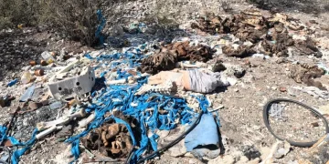 Indignación en Jáchal: arrojan basura, escombros y restos de animales faenados cerca del Dique Los Cauquenes