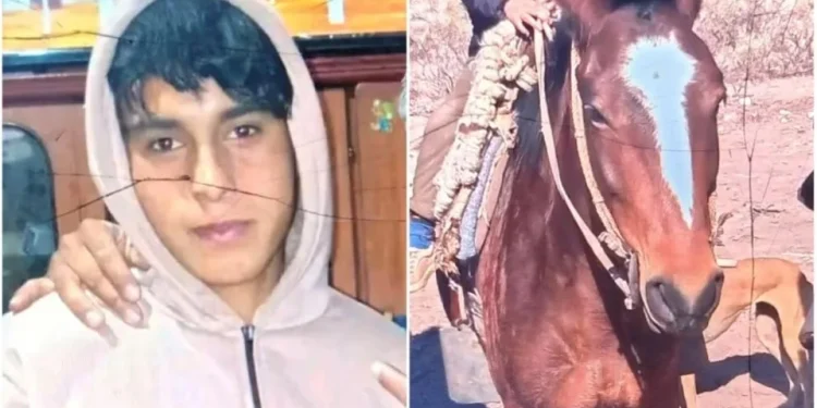 Desesperada búsqueda en 25 de Mayo: rastrillan campo adentro para hallar a un adolescente de 16 años que salió a caballo