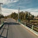 Vecinos en alerta en Jáchal: denuncian que una jauría de unos 20 perros sale del río y mata animales cerca de las viviendas
