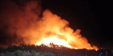 Madrugada en alerta en Jáchal: bomberos y personal municipal contuvieron un preocupante incendio de pasturas en Niquivil