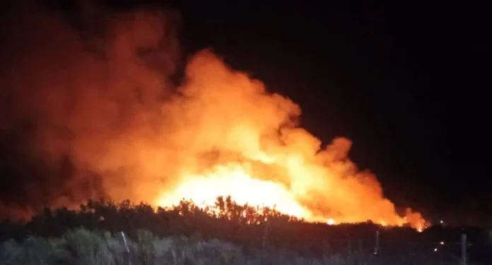 Madrugada en alerta en Jáchal: bomberos y personal municipal contuvieron un preocupante incendio de pasturas en Niquivil