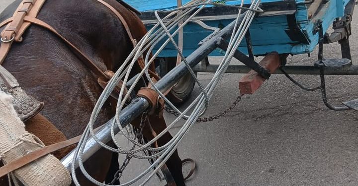 Efectividad en patrullajes: la Policía Rural detuvo a dos hombres con pedido de captura por reiterados robos