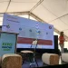 El auge del pistacho en San Juan: las cuatro claves técnicas y financieras que definen a un cultivo en plena expansión