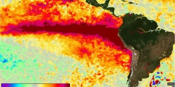 Alerta roja global por El Niño: la OMM advierte que alcanzará una intensidad inédita con anomalías de hasta 3,8°C en el Pacífico