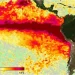 Alerta roja global por El Niño: la OMM advierte que alcanzará una intensidad inédita con anomalías de hasta 3,8°C en el Pacífico