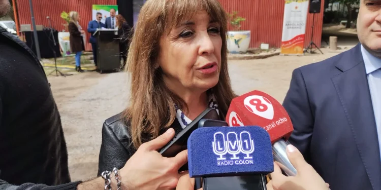 Plan de forestación y repavimentación en Capital: Susana Laciar anunció la entrega de 500 árboles y un 81% de avance en las obras viales