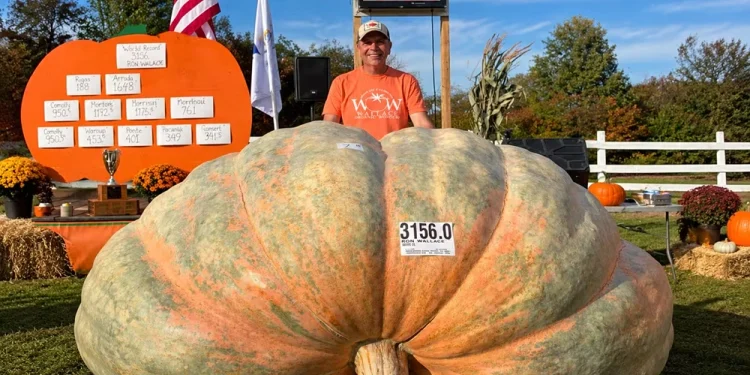 Una calabaza de 1.431 kilos rompió el récord mundial una semana después de que se fijara otra marca