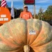 Una calabaza de 1.431 kilos rompió el récord mundial una semana después de que se fijara otra marca