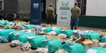 Golpe al contrabando: la Aduana y Gendarmería secuestraron 657 kilos de hojas de coca valuados en más de $72 millones