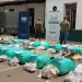 Golpe al contrabando: la Aduana y Gendarmería secuestraron 657 kilos de hojas de coca valuados en más de $72 millones